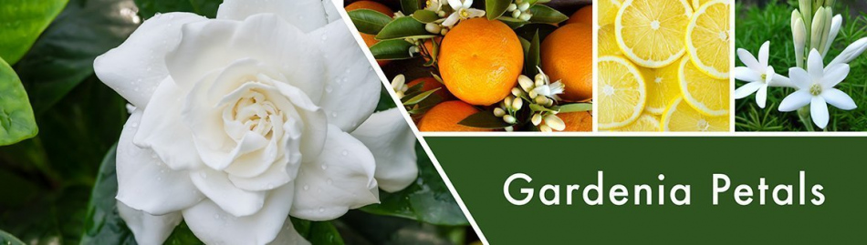 goose-creek-gardenia-petals